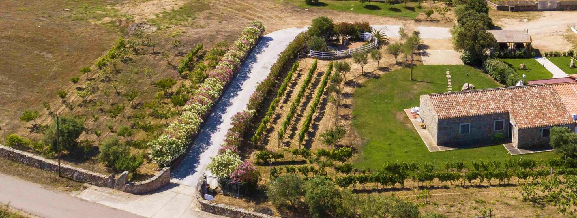 Villa La Littighedda Rena Majore Esterno foto