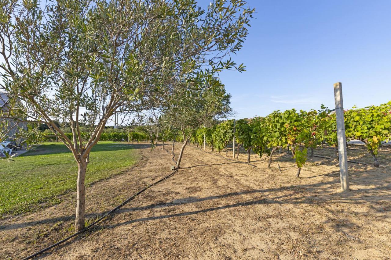 Villa La Littighedda Rena Majore Esterno foto