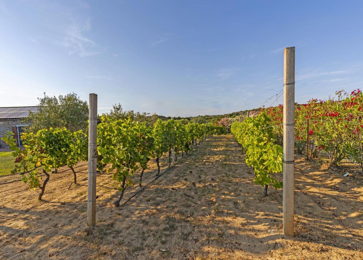 Villa La Littighedda Rena Majore Esterno foto